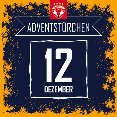 Adventsangebot am 12.12.2025 im Lausitzer Füchse Onlineshop