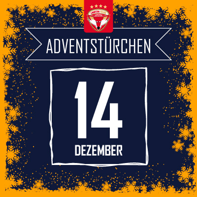 Adventsangebot am 14.12.2025 im Lausitzer Füchse Onlineshop