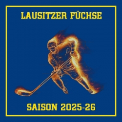 6 - BRAUN