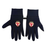 Lausitzer Füchse - Handschuhe Softshell - Logo - Gr: S