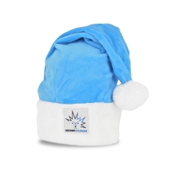 Dresdner Eislöwen - Weihnachtsmütze - blau - Logo