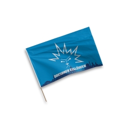 Dresdner Eislöwen - Stabfahne - Skyline - 40x60cm