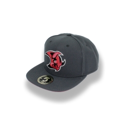 Saale Bulls - ADULT Flat-Cap - grey - Logo - 60cm